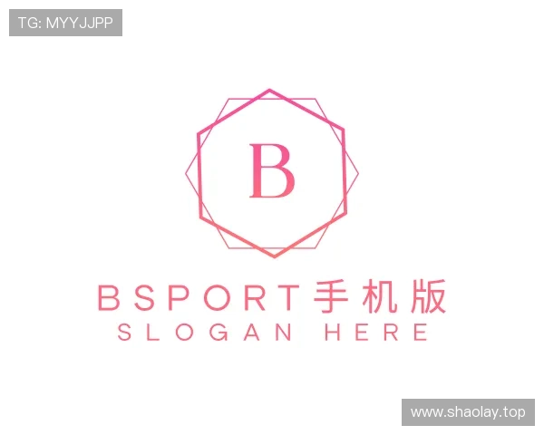 关于Bsport手机版